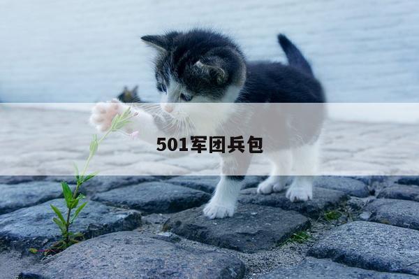 501军团兵包