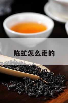 陈虻怎么走的