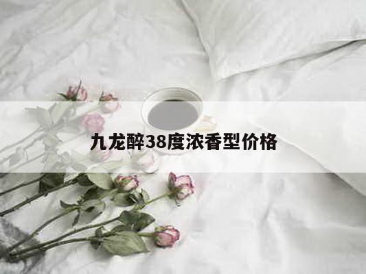 九龙醉38度浓香型价格