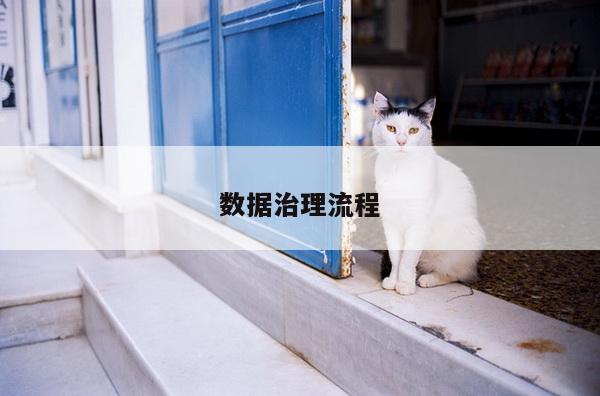 数据治理流程