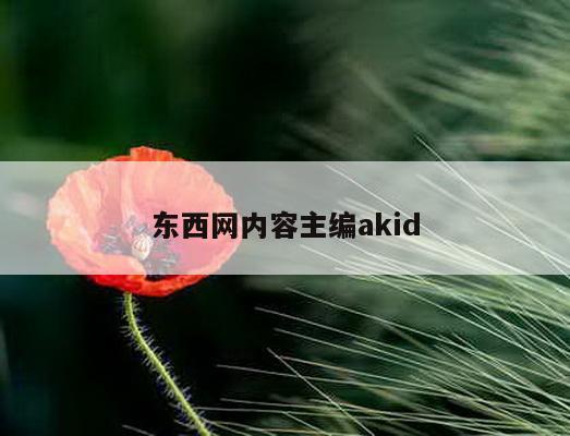 东西网内容主编akid