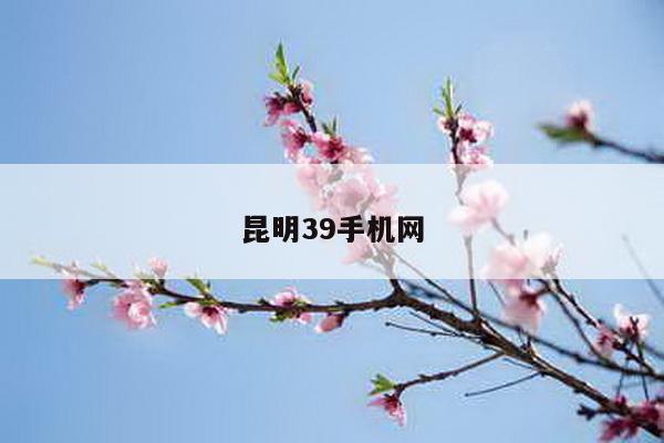 昆明39手机网