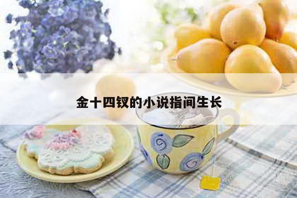 金十四钗的小说指间生长