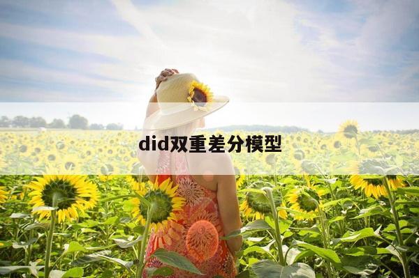 did双重差分模型
