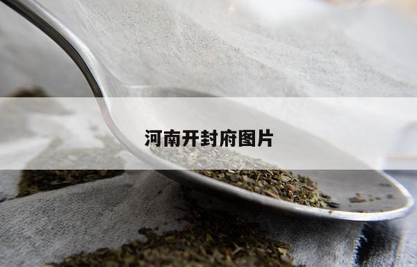 河南开封府图片