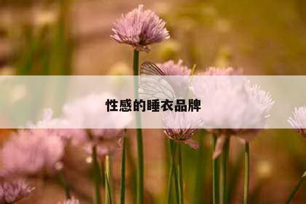 性感的睡衣品牌
