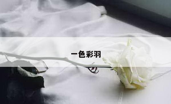 一色彩羽