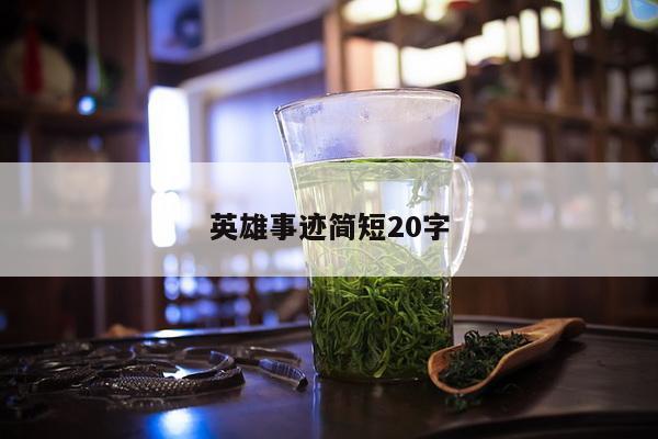 英雄事迹简短20字