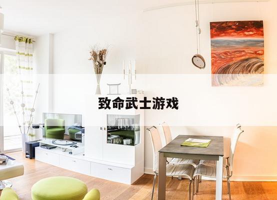 致命武士游戏