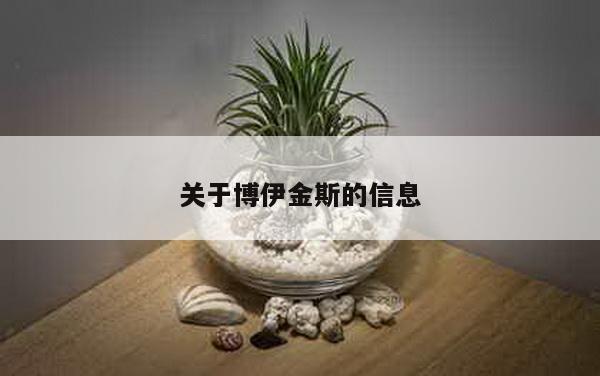 关于博伊金斯的信息