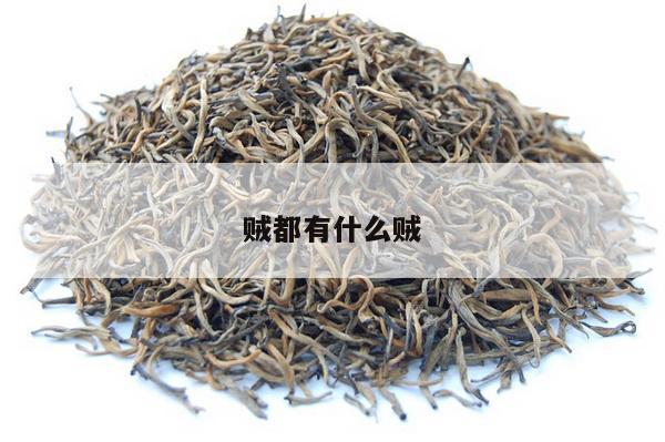 贼都有什么贼