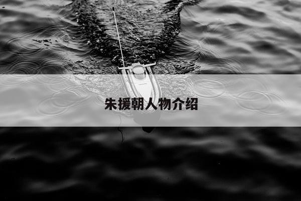 朱援朝人物介绍