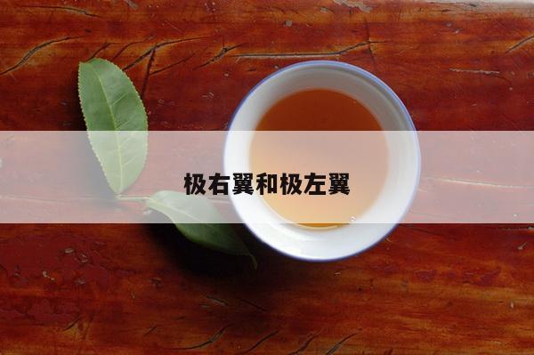 极右翼和极左翼