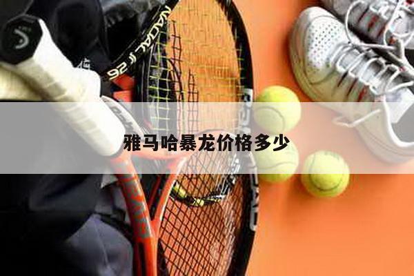 雅马哈暴龙价格多少