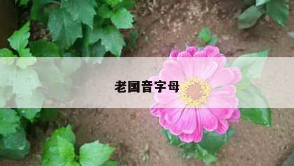 老国音字母