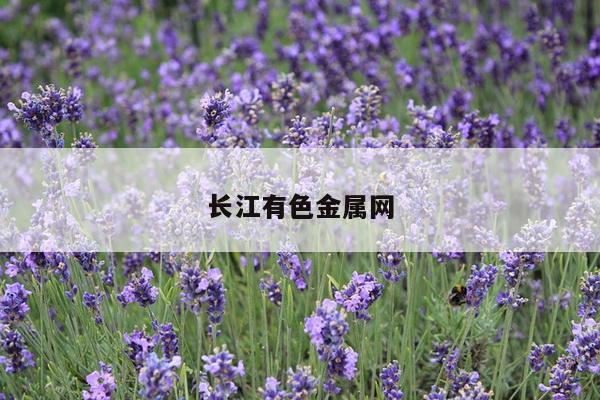长江有色金属网