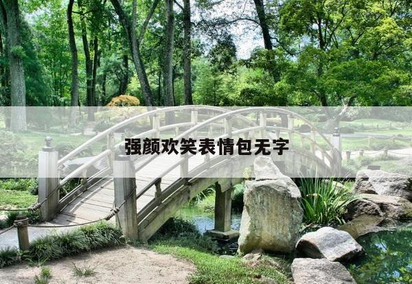 强颜欢笑表情包无字