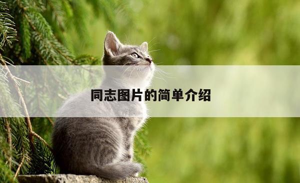同志图片的简单介绍
