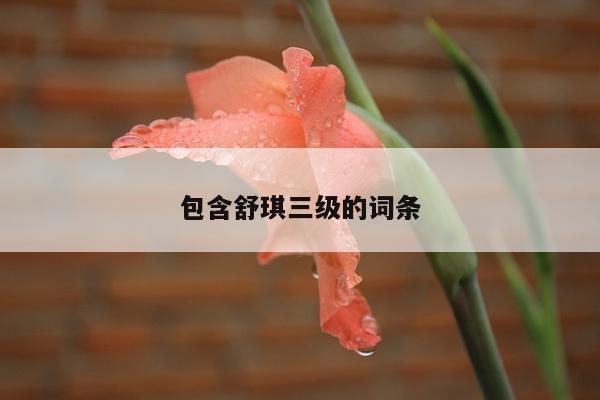 包含舒琪三级的词条