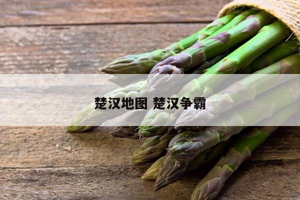 楚汉地图 楚汉争霸