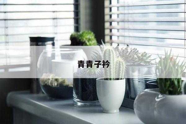 青青子衿