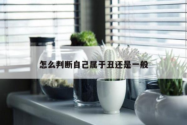 怎么判断自己属于丑还是一般