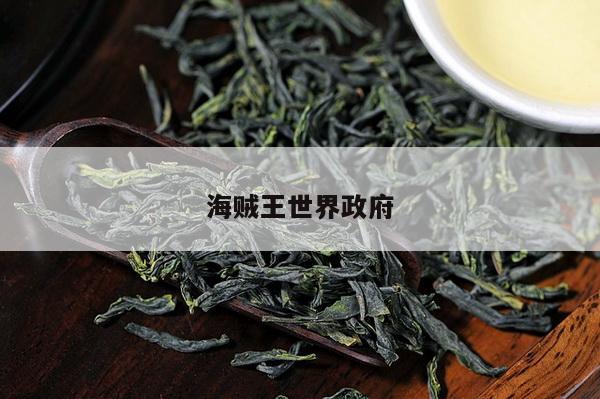 海贼王世界政府