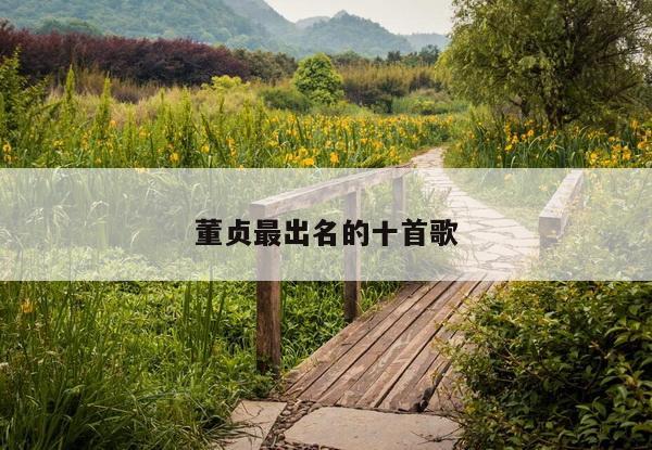 董贞最出名的十首歌