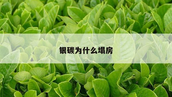 银碳为什么塌房