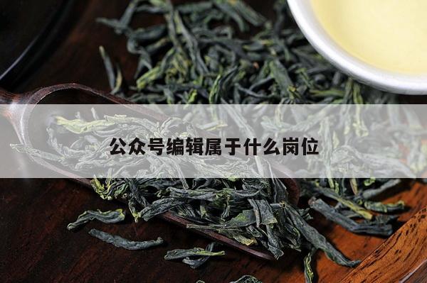 公众号编辑属于什么岗位