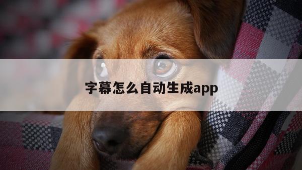 字幕怎么自动生成app