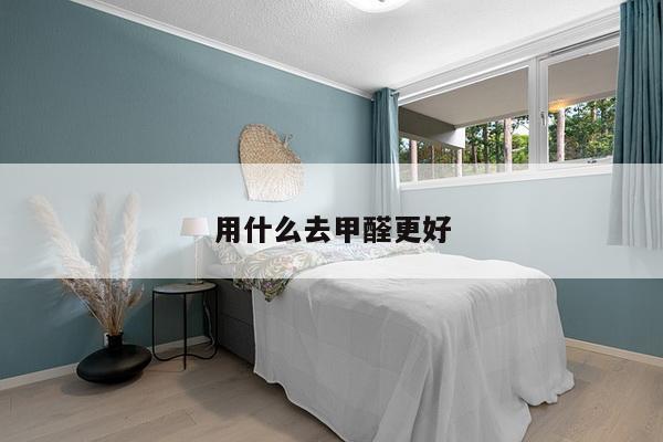 用什么去甲醛更好