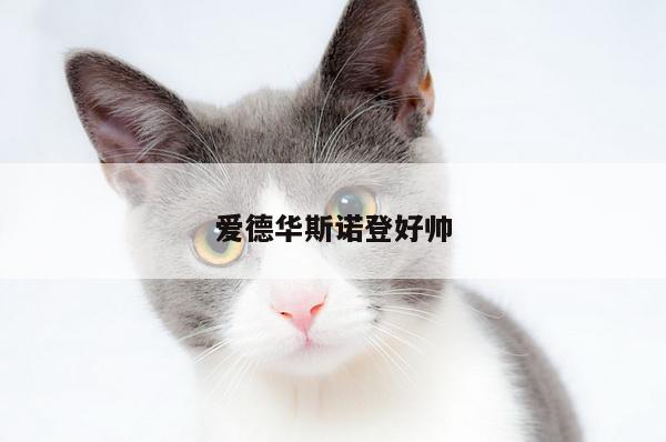 爱德华斯诺登好帅