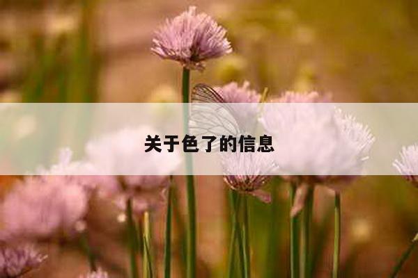 关于色了的信息