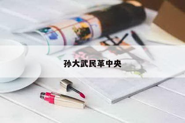 孙大武民革中央