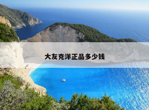 大友克洋正品多少钱