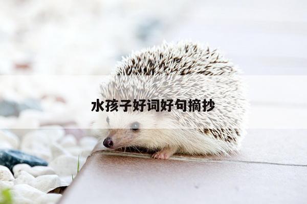 水孩子好词好句摘抄