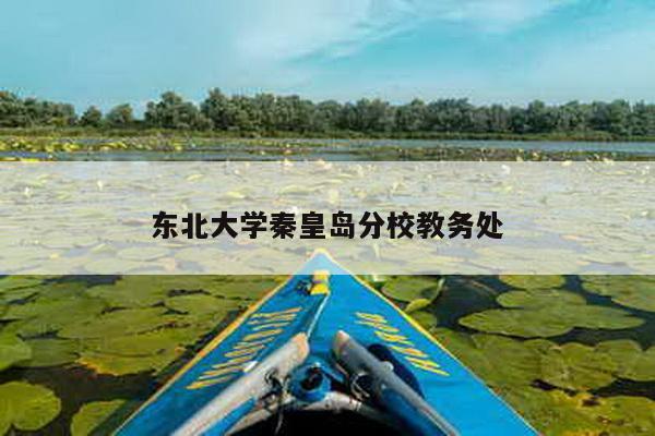 东北大学秦皇岛分校教务处