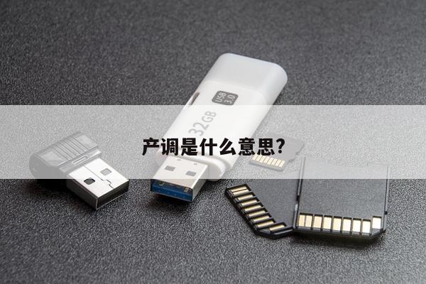 产调是什么意思?