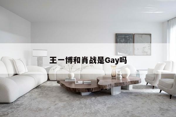 王一博和肖战是Gay吗