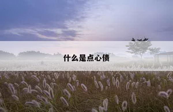 什么是点心债