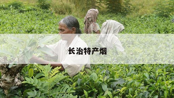 长治特产烟