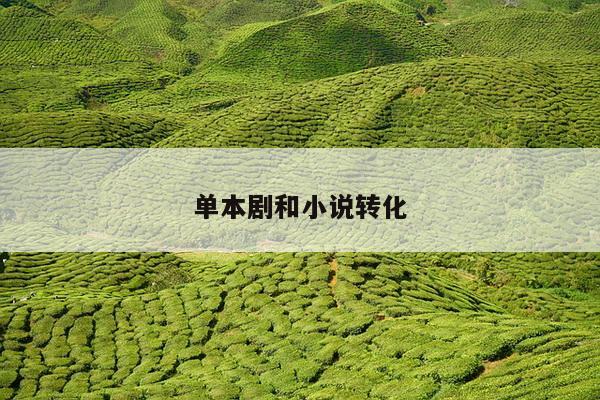 单本剧和小说转化