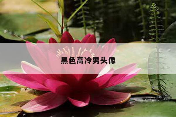 黑色高冷男头像
