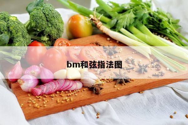 bm和弦指法图