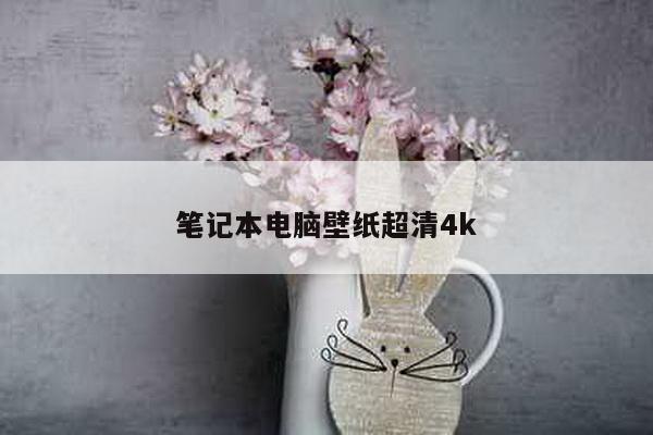 笔记本电脑壁纸超清4k