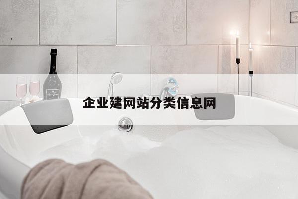 企业建网站分类信息网