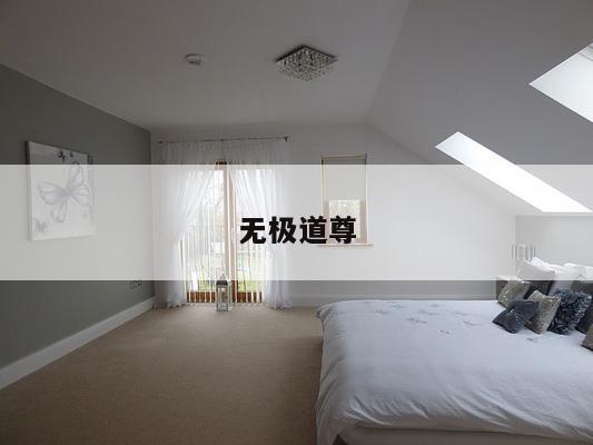 无极道尊
