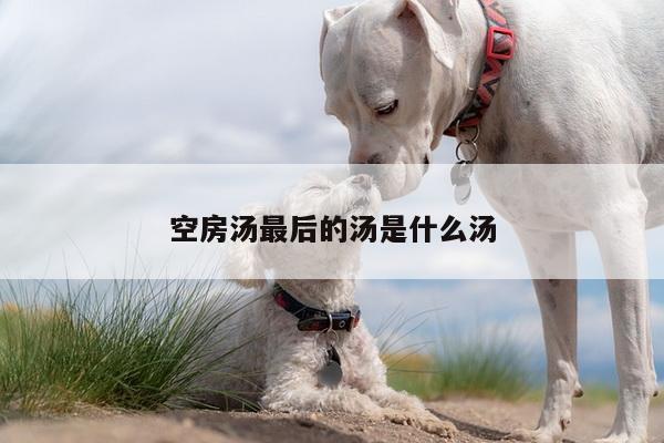 空房汤最后的汤是什么汤