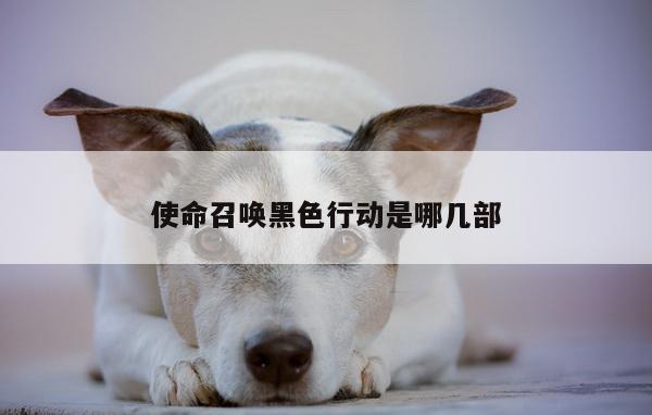 使命召唤黑色行动是哪几部